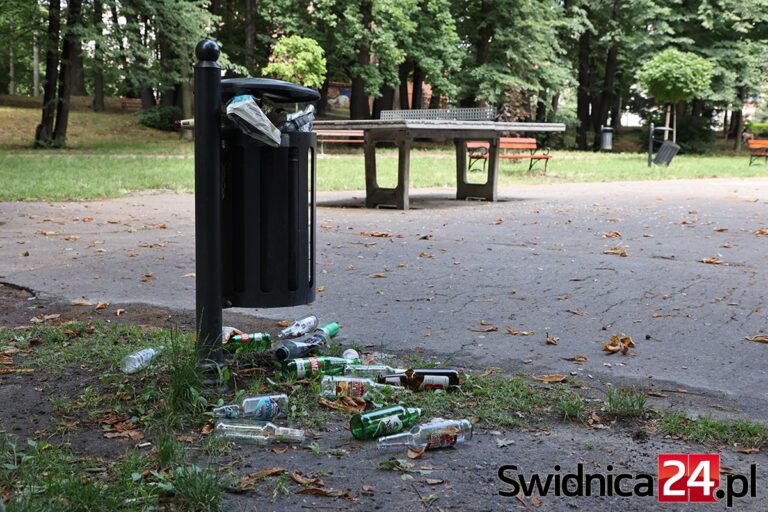 Park, najlepsze miejsce na balangę?