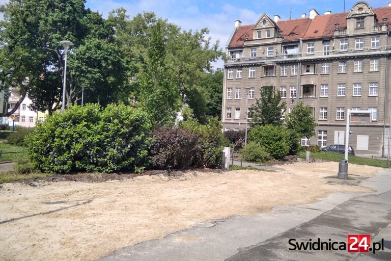 Zniknęły pawilony, będzie nowa wiata przystankowa i zieleń. Zmiany na placu Drzymały pochłoną 100 tys. złotych [FOTO]