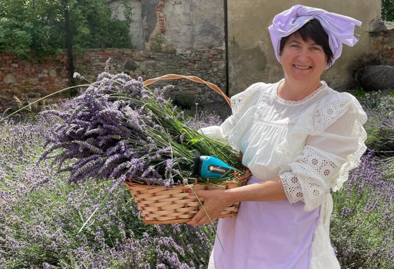 Lawendowe warsztaty na placu Pokoju