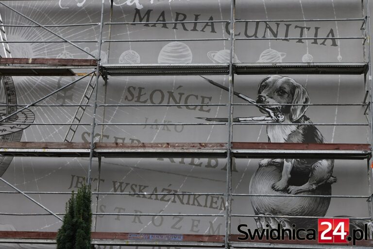 Mural dedykowany astronomce Marii Kunic gotowy. Miasto przygotowało questy szlakiem świdnickich murali