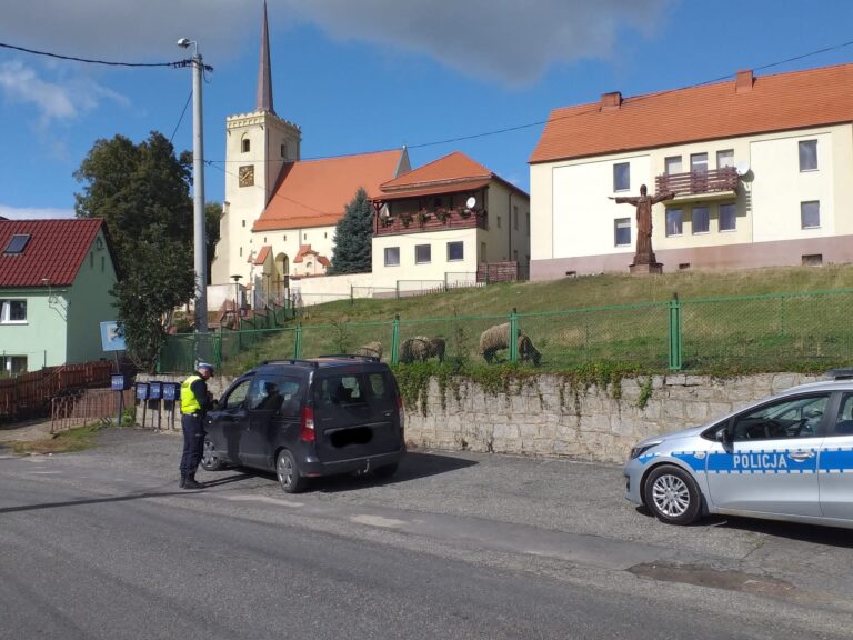 Policjanci z całej Europy łączą siły. Więcej kontroli na drogach