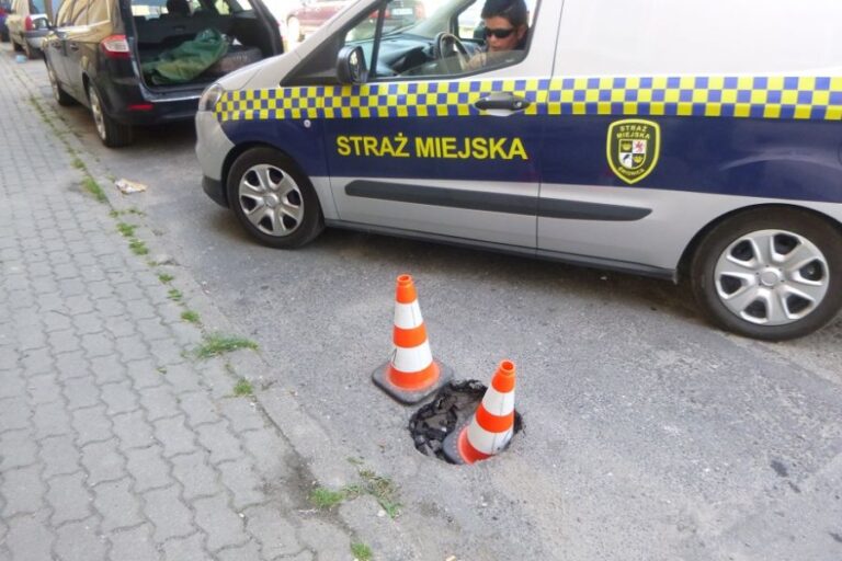 Pies porzucony przed marketem, kradzież telefonu i libacja na skwerku. Interwencje straży miejskiej