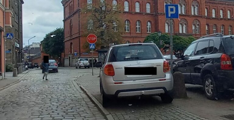 Mistrzowie parkowania [FOTO]
