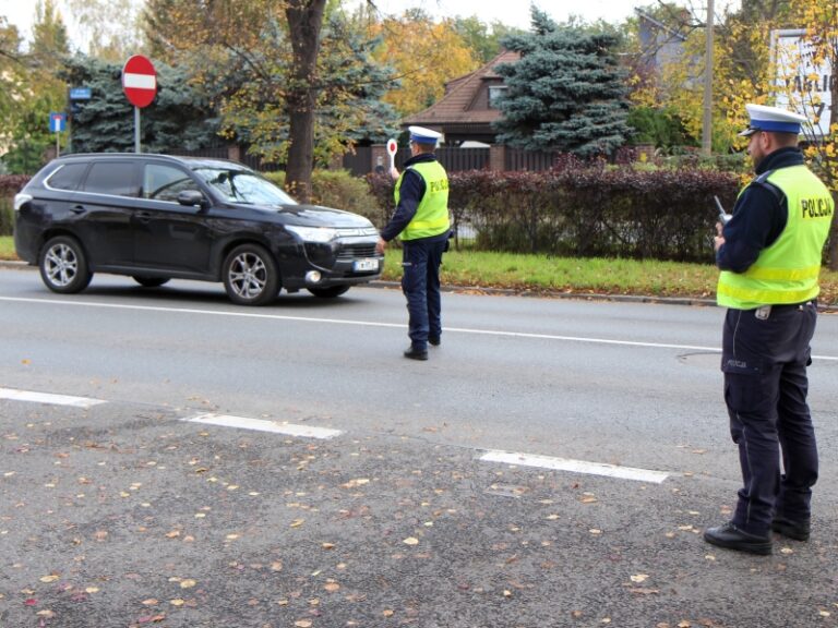 64 wykroczenia w jeden dzień. Akcja świdnickiej policji