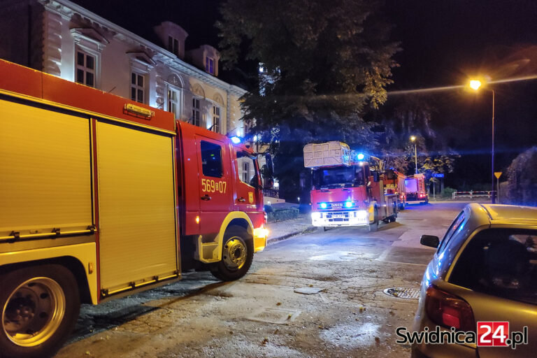 Nocna interwencja strażaków na Tołstoja [FOTO]