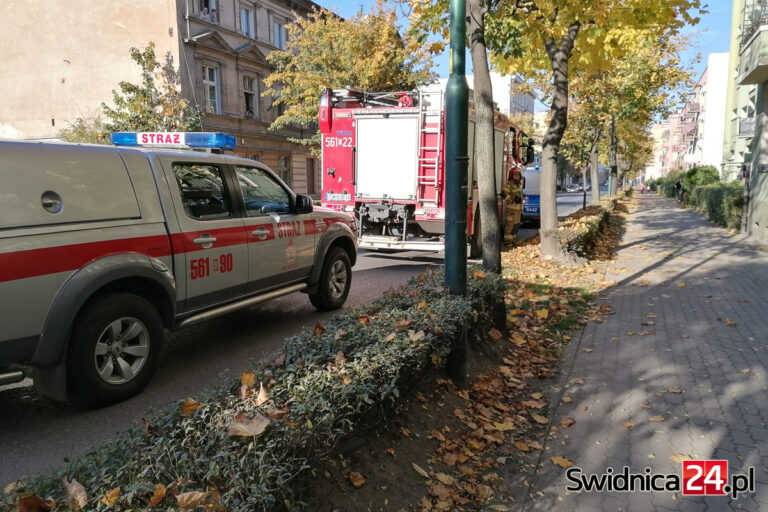 Zadymienie w mieszkaniu. Interweniowali strażacy [FOTO]