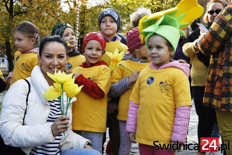 Żonkilowa cebulka jak zapowiedź dobra. Pola Nadziei posadzone raz piąty [FOTO]