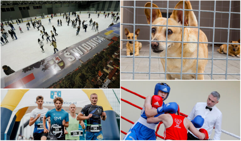 Co? Gdzie? Kiedy? Weekendowy kalendarz wydarzeń