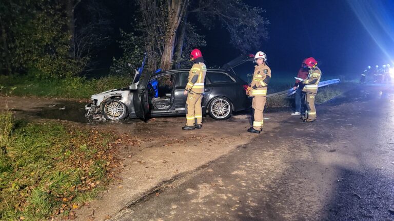 Pożar samochodu pod Wirami [FOTO]