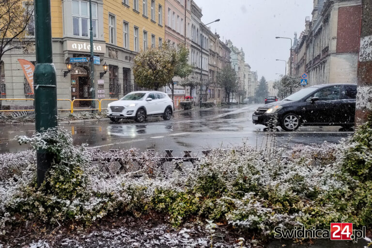 Akcję zima czas zacząć. Gdzie zgłaszać nieodśnieżoną lub oblodzoną drogę?