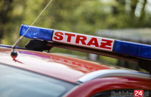 Wypadek w ruinach pałacu w Szczepanowie. Interweniowali strażacy