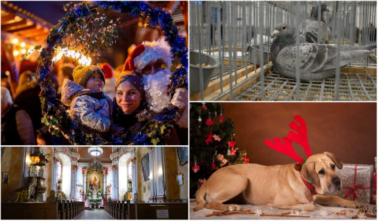 Co? Gdzie? Kiedy? Weekendowy kalendarz wydarzeń