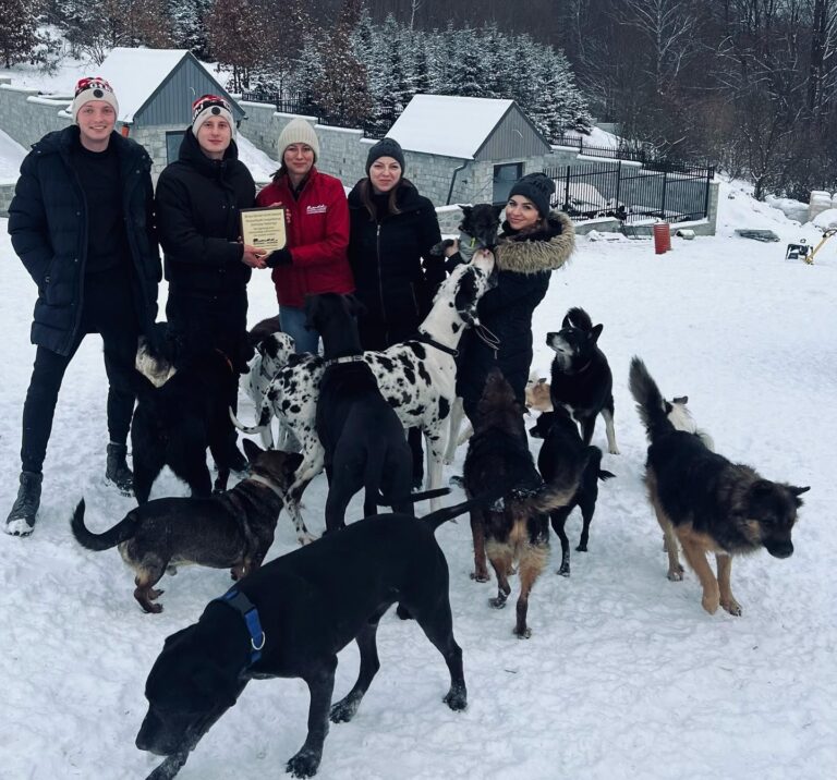 Dolnośląski Inspektorat Ochrony Zwierząt z prestiżową nagrodą <strong>Brian Davies Gold Award 2022</strong>