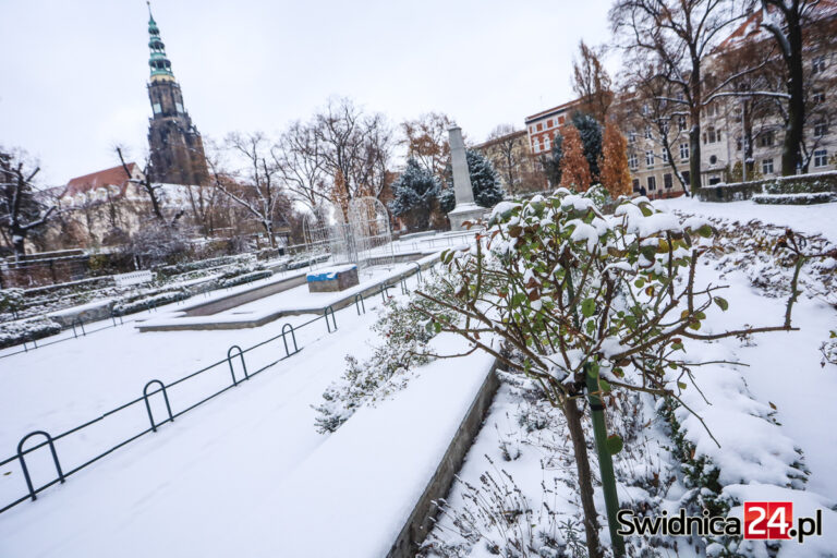 Koniec marzeń o białych świętach? IMGW podaje prognozę