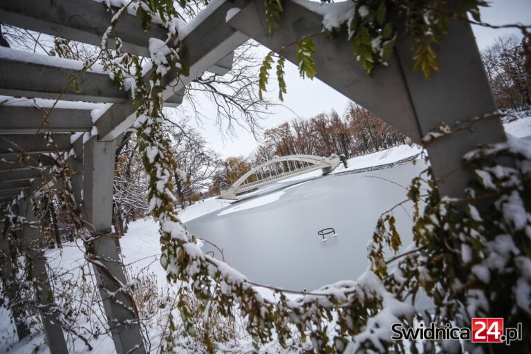 Świdnica w zimowej szacie. Jaka prognoza na najbliższe dni? [FOTO]