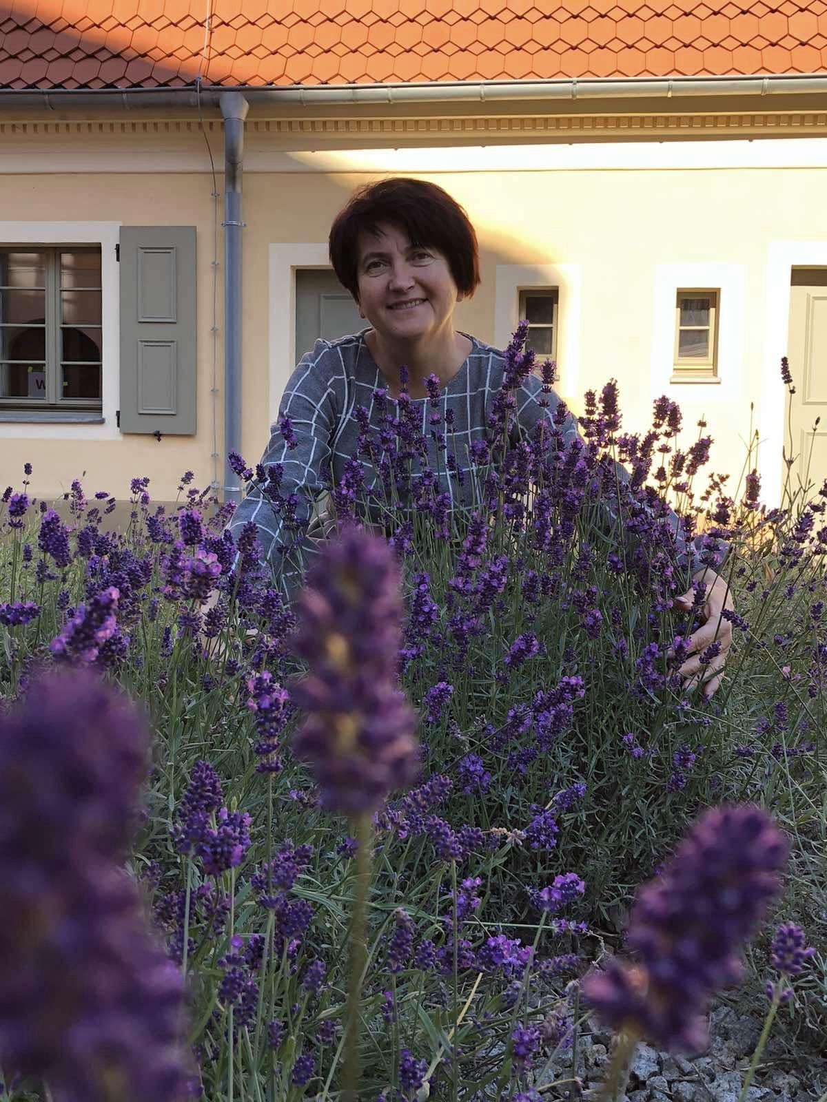 Lawendowe czary Nadieżdy w sercu Świdnicy [FOTO]