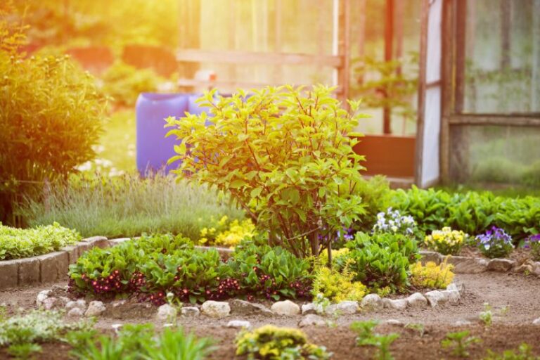 Jak przygotować ogród lub działkę na wiosnę?