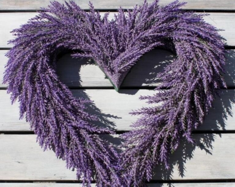 Lawendowo przy Kościele Pokoju. W czwartek 9. edycja warsztatów