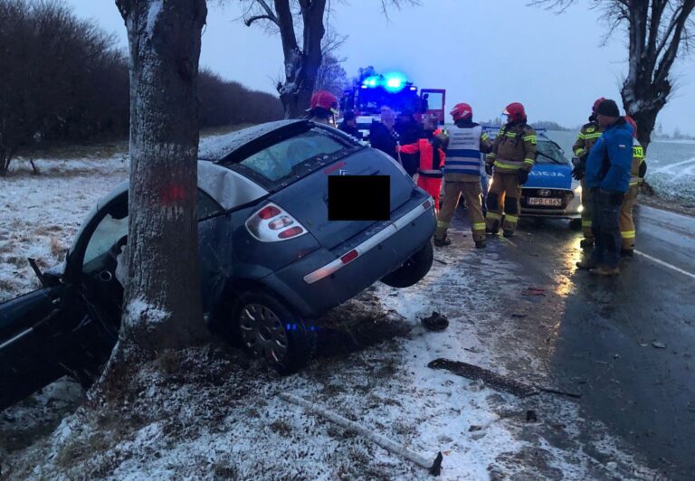 Najpierw w drzewo, potem w ciężarówkę. Wypadek na trasie Świdnica-Strzegom