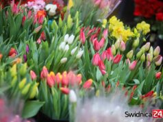 Dzień Kobiet w powiecie świdnickim. Jakie zaplanowano wydarzenia?