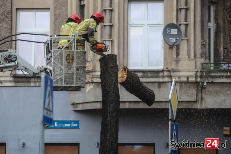 Strażacy musieli wyciąć drzewo przy Komunardów. Groziło wywróceniem na jezdnię [FOTO]