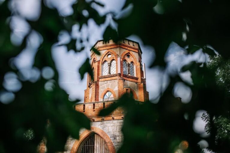 Wieża widokowa w Dobromierzu znów ożyje. W weekend rusza nowy sezon Forest Bar