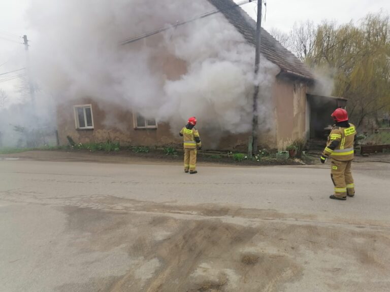 Pożar domu w Wilkowie, jedna osoba z poparzeniami [FOTO]