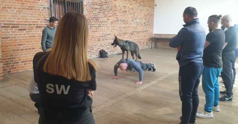 Pomagają w resocjalizacji. Psy w Areszcie Śledczym w Świdnicy [FOTO]