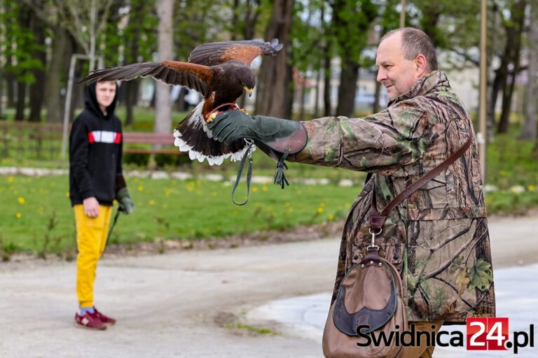 Służył na lotnisku, teraz będzie edukował dzieci. Poznajcie Henry’ego [FOTO/VIDEO]