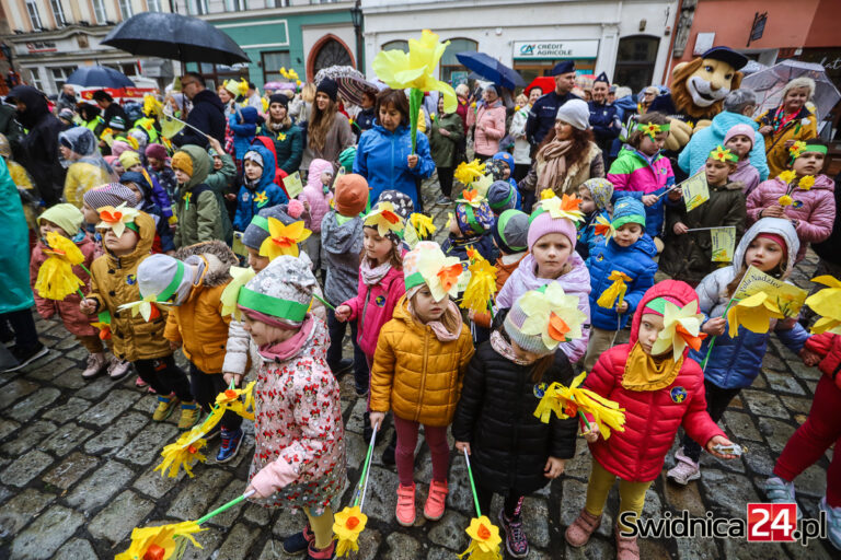 Żółty Marsz Nadziei przeszedł przez świdnicki Rynek [FOTO/VIDEO]