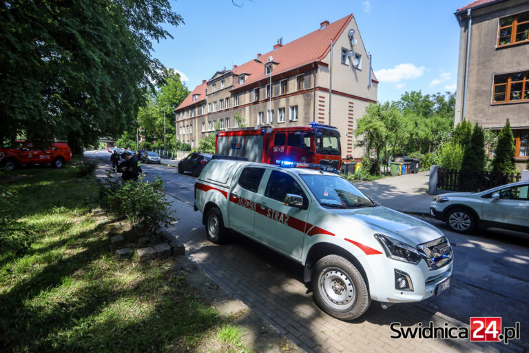 Podejrzewano ulatnianie się gazu. Interweniowali strażacy