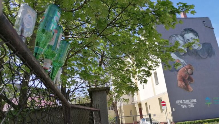 Butelki, plastiki, opony… Czy świdnicka straż miejska karze za śmiecenie?