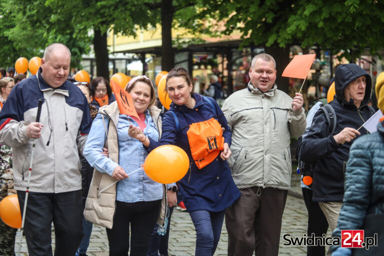 Barwna parada, występy i warsztaty. Dzień Godności wkrótce w Świdnicy