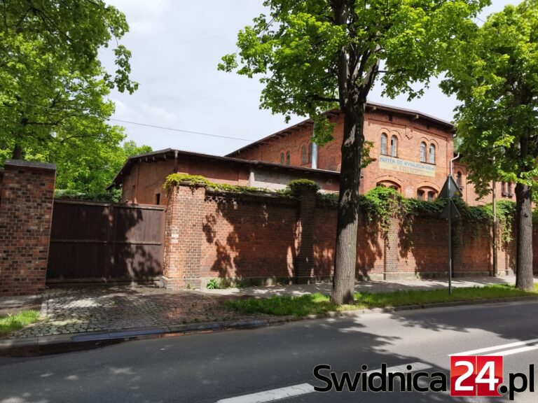 Śmierdząca ciecz płynie ul. Sprzymierzeńców [FOTO]