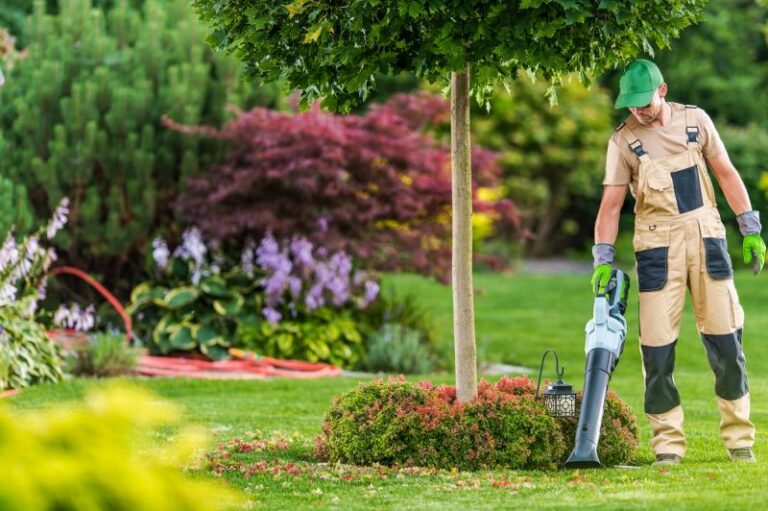 Ranking odkurzaczy do liści – czy warto z niego skorzystać, wybierając sprzęt?