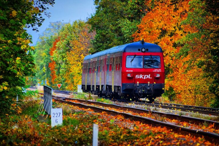Będzie więcej pociągów na odnowionej trasie Świdnica-Jedlina? „Koleje Dolnośląskie na start zaprezentowały dość ubogą ofertę”