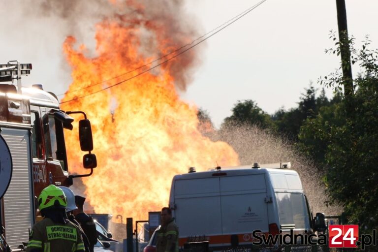 Wyciek gazu, ewakuowani działkowcy. Doszło do zapalenia, są ranni [FOTO/VIDEO][Aktualizacja]