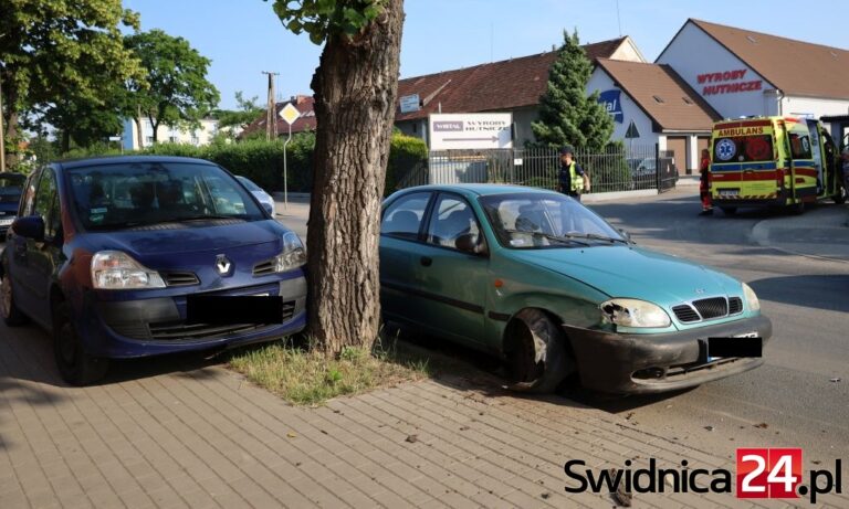 Uszkodził dwa samochody i zatrzymał się na drzewie [FOTO]