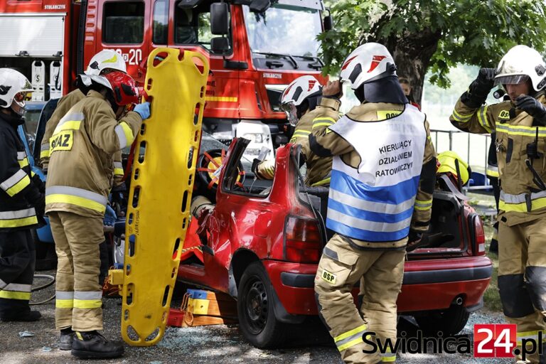 Strażacy przygotowali świetny pokaz dla Agatki. Znamy wyniki niedzielnej zbiórki [FOTO]