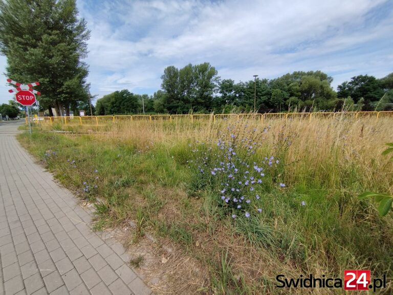 Nic nie widać na przejeździe kolejowym