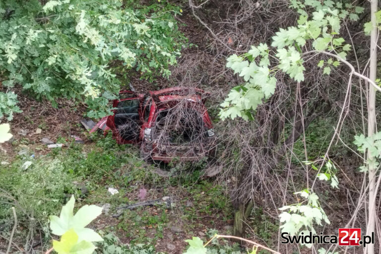 Kierowca zasłabł w czasie jazdy. Auto spadło ze skarpy [FOTO]