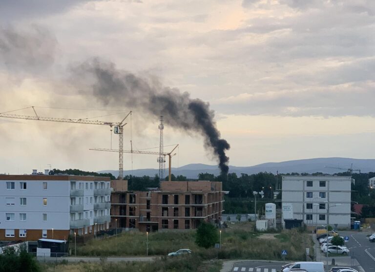 Pożar zarośli i śmieci na Hetmańskiej