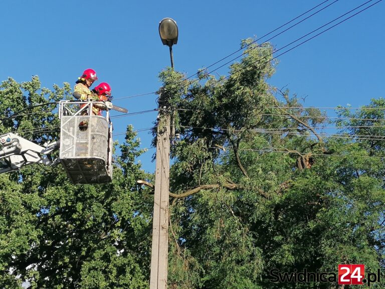 Konar spadł na linię energetyczną [FOTO]