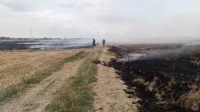 Pożar pod Jaroszowem. Płonęło ściernisko i zboże [FOTO]