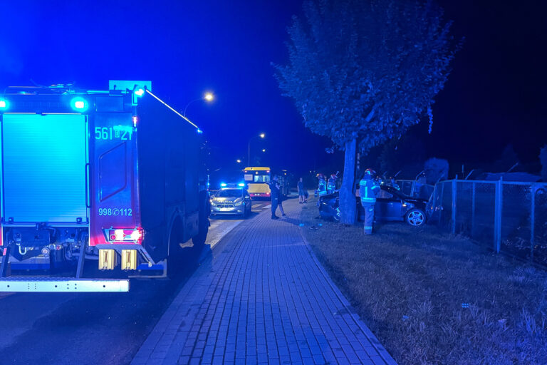 Nocny wypadek na Śląskiej. Kierowca zakończył jazdę na płocie [FOTO]