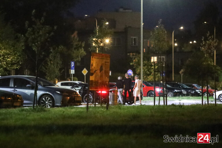 Ryk silników, huk z wydechów i balangi na parkingu przy Polnej Drodze. Co na to służby i władze miasta?