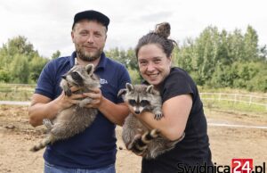 Fundacja Patataj walczy o 100 tysięcy złotych. Każdy może pomóc w wygraniu dotacji!