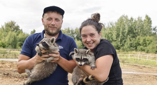Fundacja Patataj walczy o 100 tysięcy złotych. Każdy może pomóc w wygraniu dotacji!