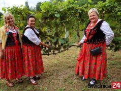 Dzień Turystyki i winobranie w Makowicach