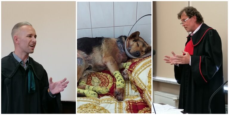 Sołtyska Wirek ciągnęła psa za samochodem. Prokuratura żąda bezwzględnego więzienia, obrona pozostawienia”zawiasów”